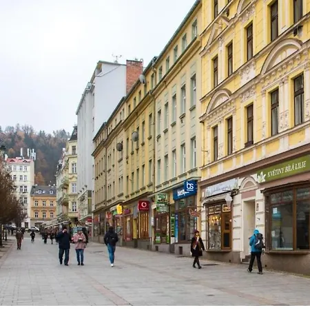 Cozy Bright Flat In Centre Apartment Karlovy Vary